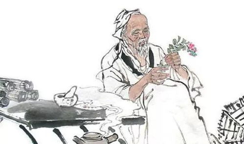 專(zhuān)欄 藥食同源 讓廚房變成養(yǎng)生 藥房 之茵陳